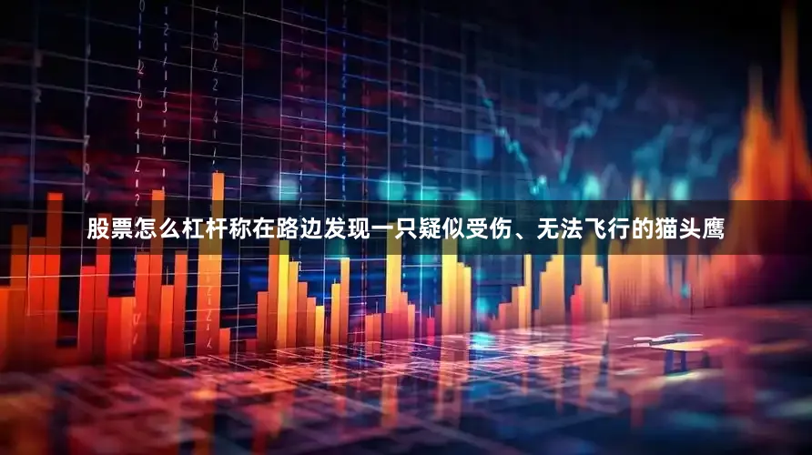股票怎么杠杆称在路边发现一只疑似受伤、无法飞行的猫头鹰
