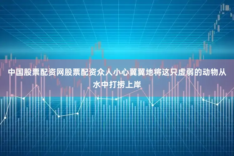 中国股票配资网股票配资众人小心翼翼地将这只虚弱的动物从水中打捞上岸