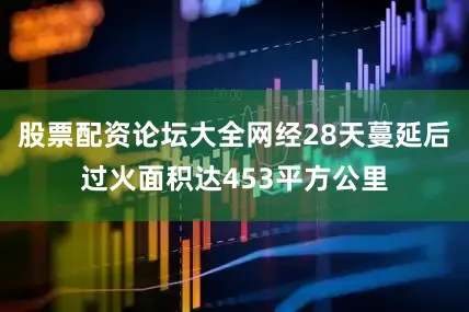 股票配资论坛大全网经28天蔓延后过火面积达453平方公里