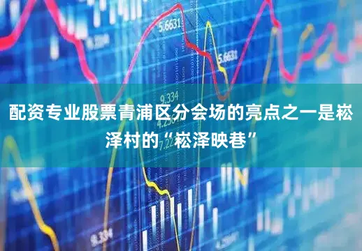配资专业股票青浦区分会场的亮点之一是崧泽村的“崧泽映巷”