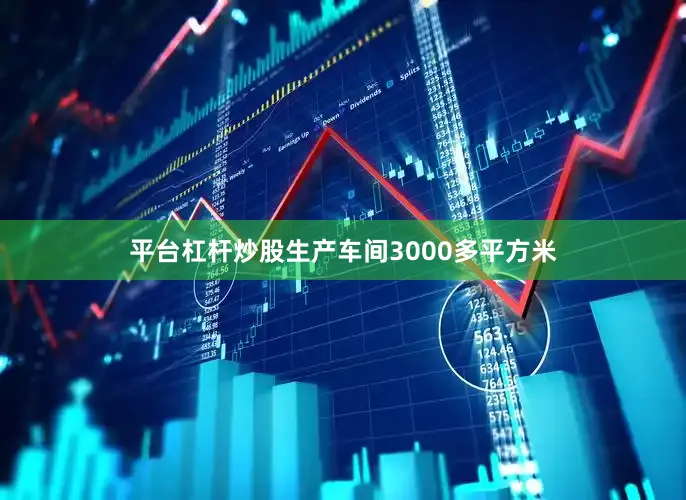 平台杠杆炒股生产车间3000多平方米