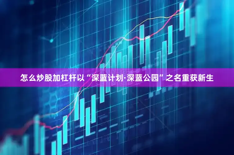 怎么炒股加杠杆以“深蓝计划·深蓝公园”之名重获新生
